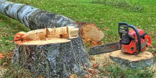 Best Utility Line Clearance  in Farmingdale, NJ