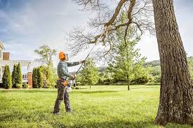 Best Hazardous Tree Removal  in Farmingdale, NJ